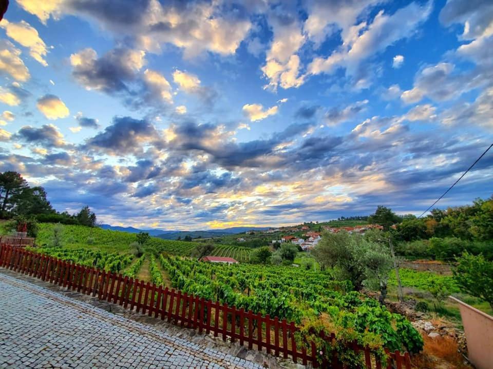Casa Do Poco - Douro Hotel Peso da Regua Ngoại thất bức ảnh
